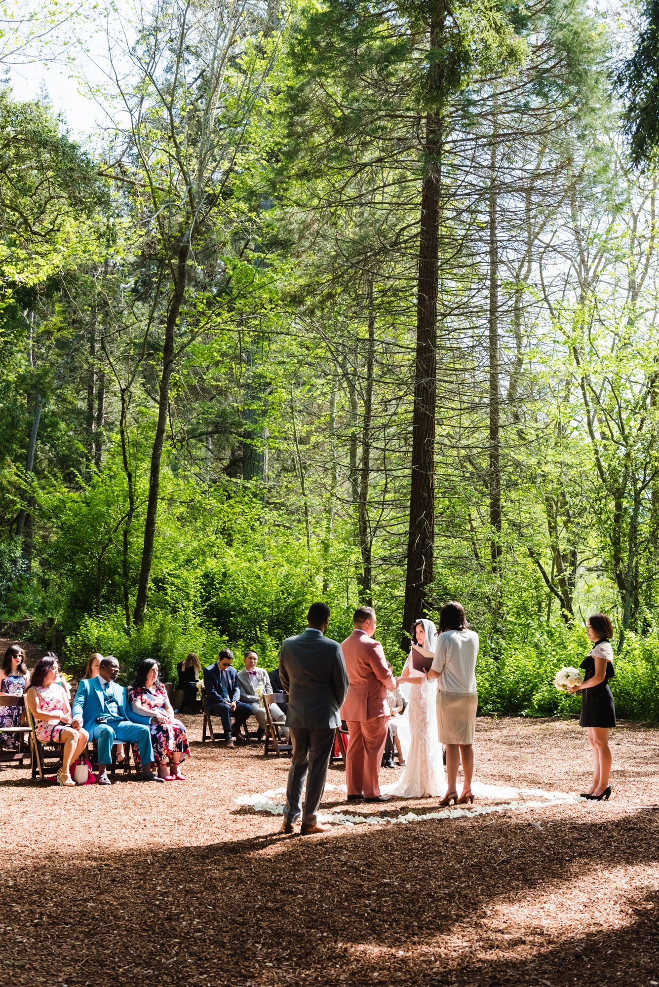 A multicultural spring wedding at Sand Rock Farm, Vows in the Redwood Grove at Sand Rock Farm