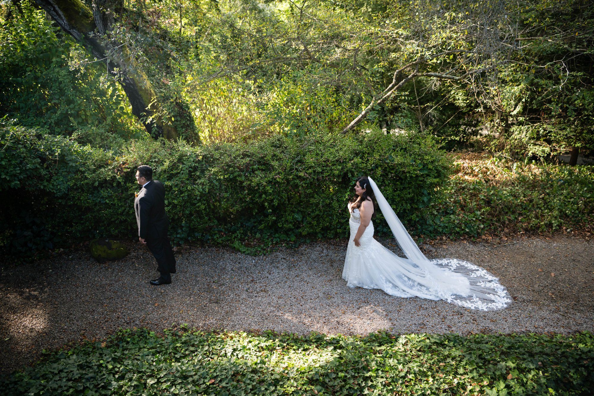 A fall-foliage micro wedding at Sand Rock Farm, A Redwood Ceremony on the Aptos Estate