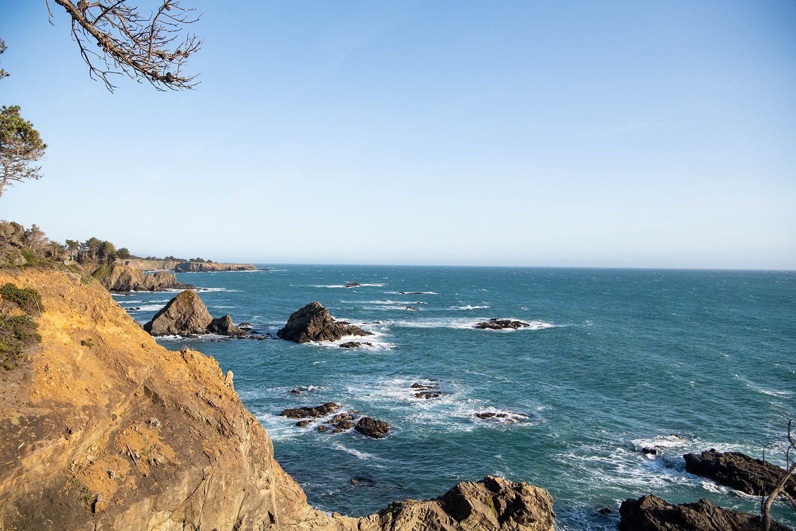 spring elopement at wander anchor bay mendocino coast, Portraits at Salt Point, a Gualala 2-Person Wedding on the Move